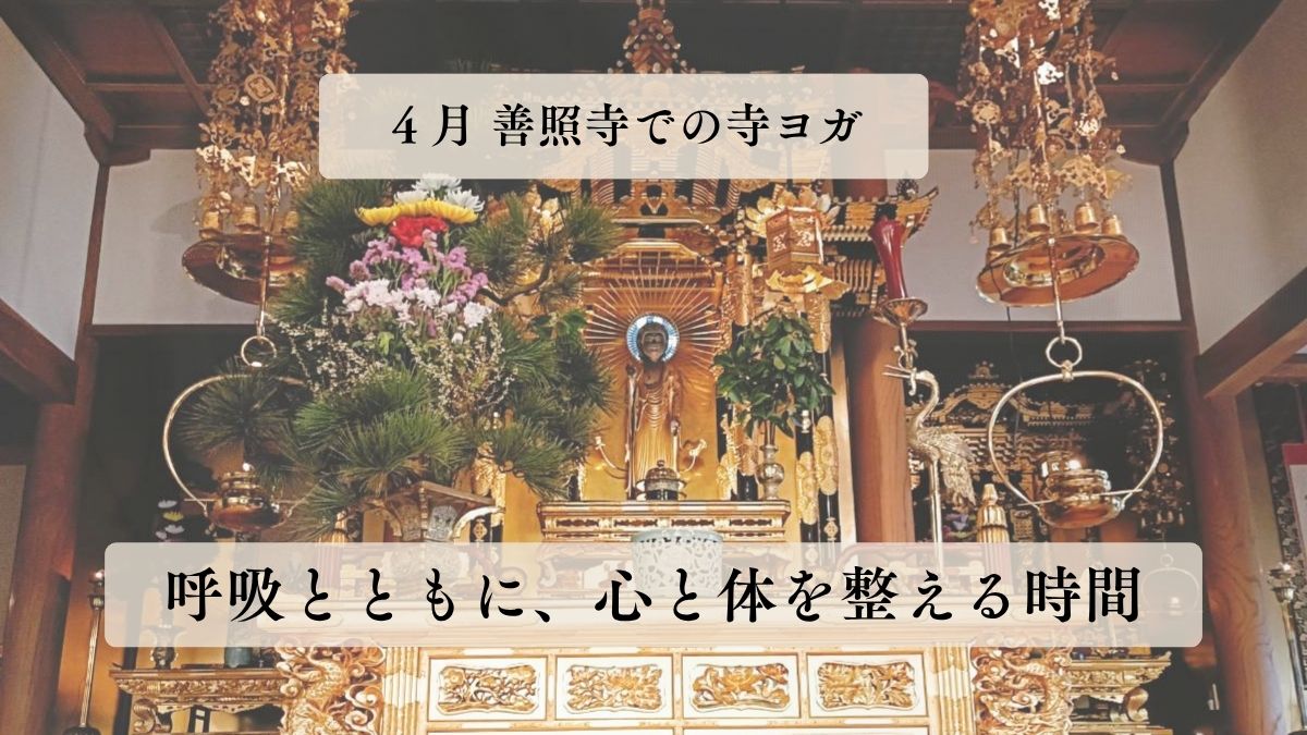 4月の善照寺 寺ヨガを開催しました