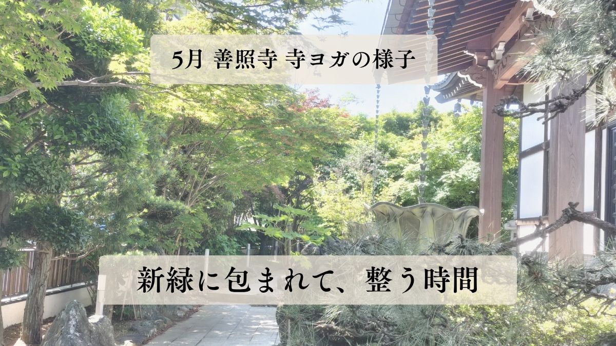 ５月善照寺 寺ヨガ終了しました