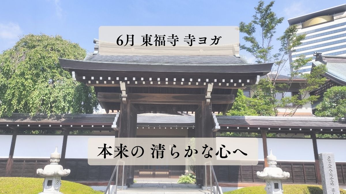 ６月 東福寺 寺ヨガを開催しました。