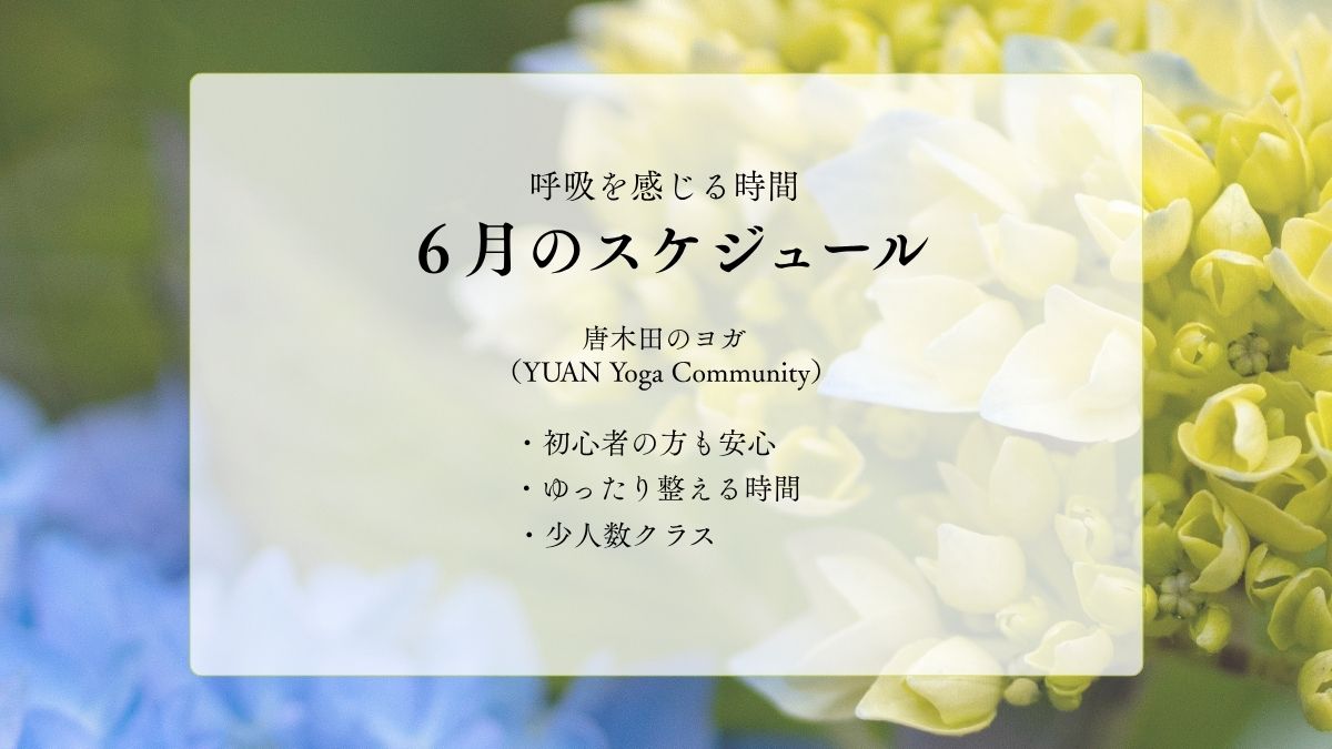 ６月のスケジュールのご案内