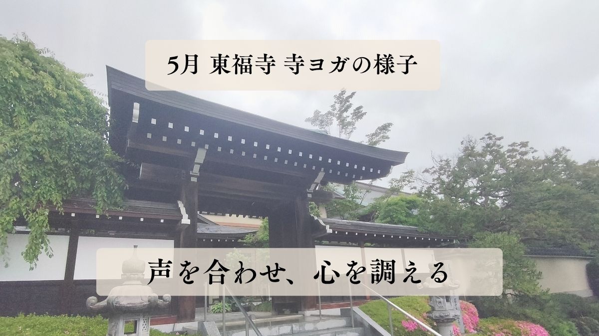 ５月 東福寺の寺ヨガ