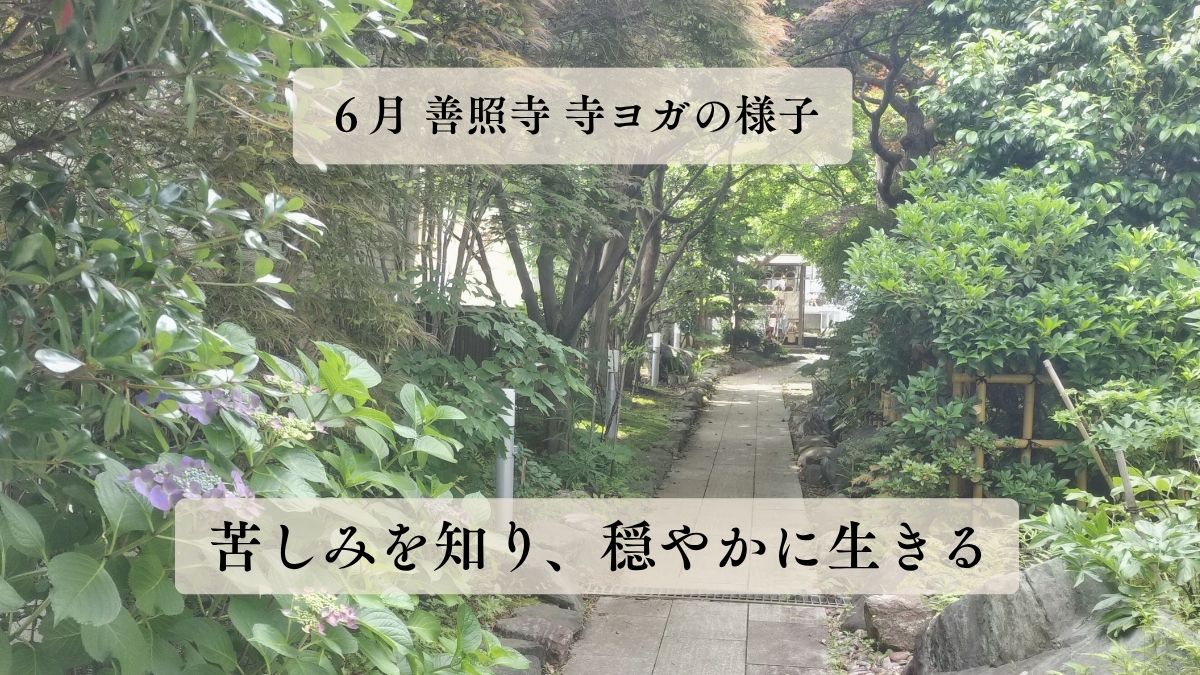 ６月善照寺 寺ヨガ終了しました