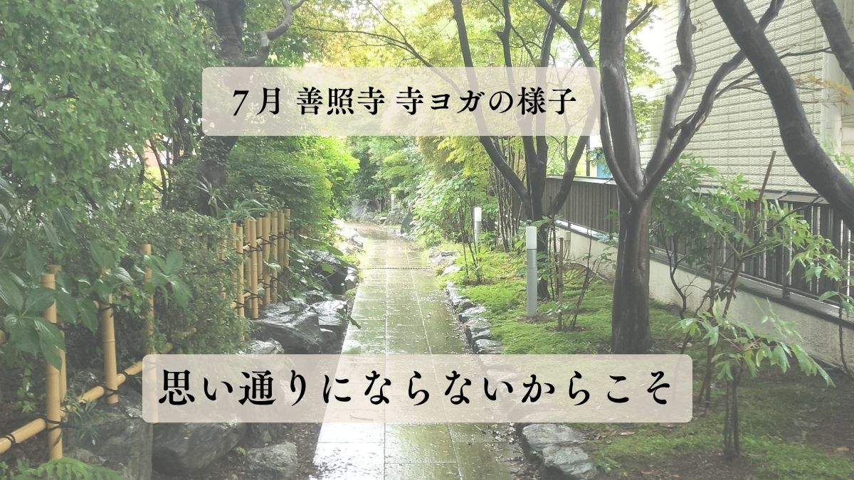 7月善照寺 寺ヨガ終了しました